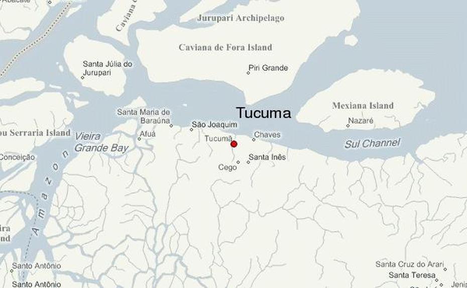 Tucuma Location Guide, Tucumã, Brazil, Murumuru  Butter, Frutas Da  Amazonia