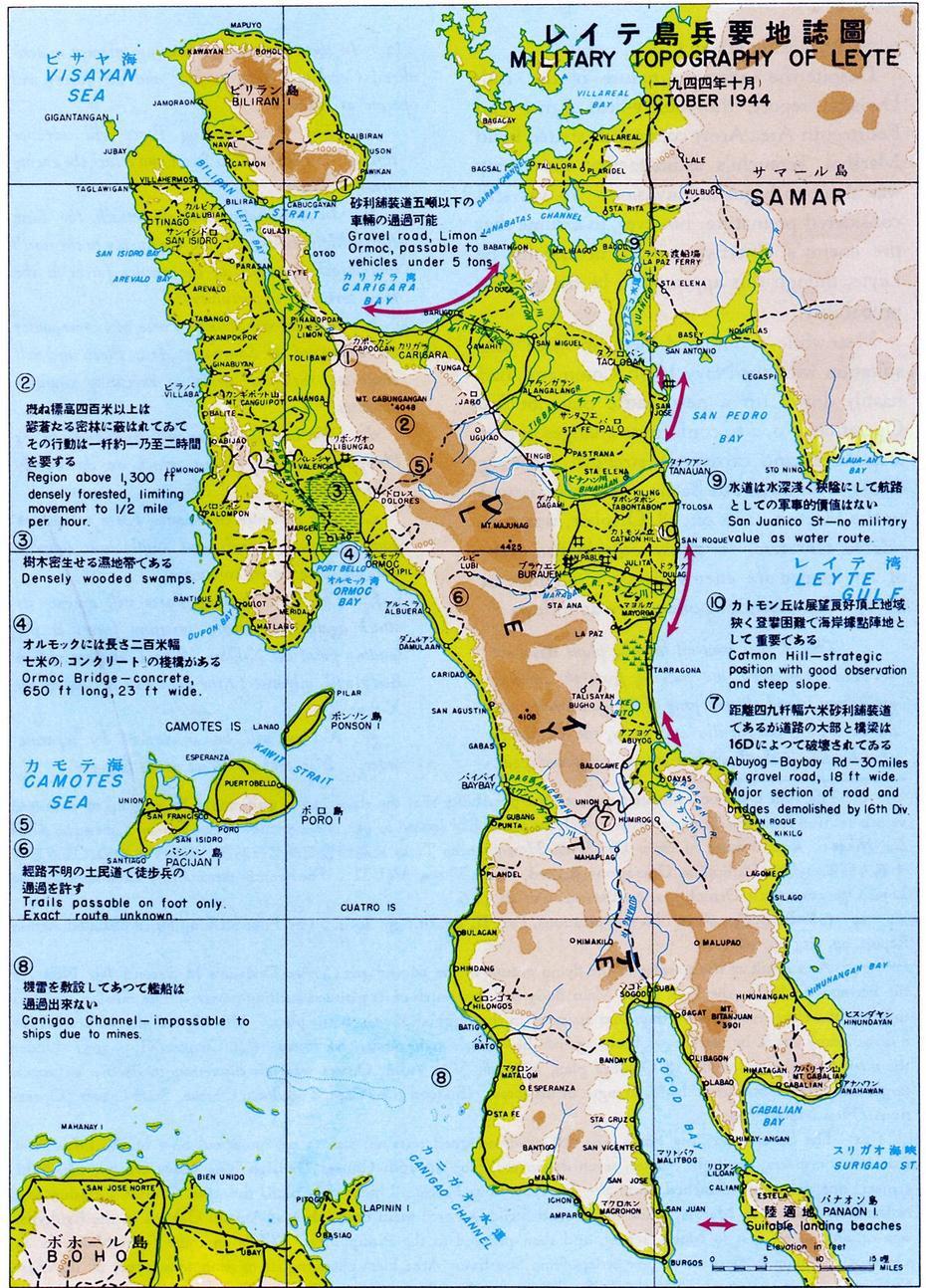 Chapter 13: Struggle For Leyte, Leyte, Philippines, Philippines Physical, Tanauan Leyte