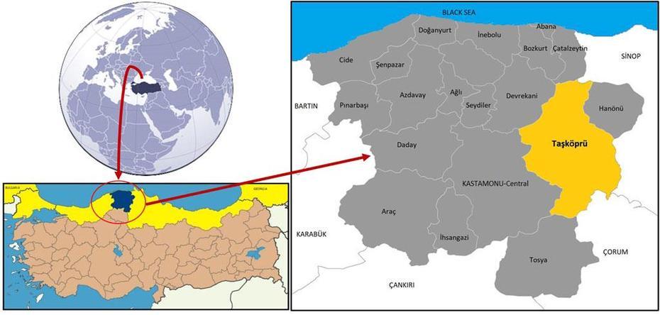 Frontiers | An Ethnobotanical Study Of Medicinal Plants In Taskopru …, Taşköprü, Turkey, Adana Turkey, Seyhan Adana Turkey