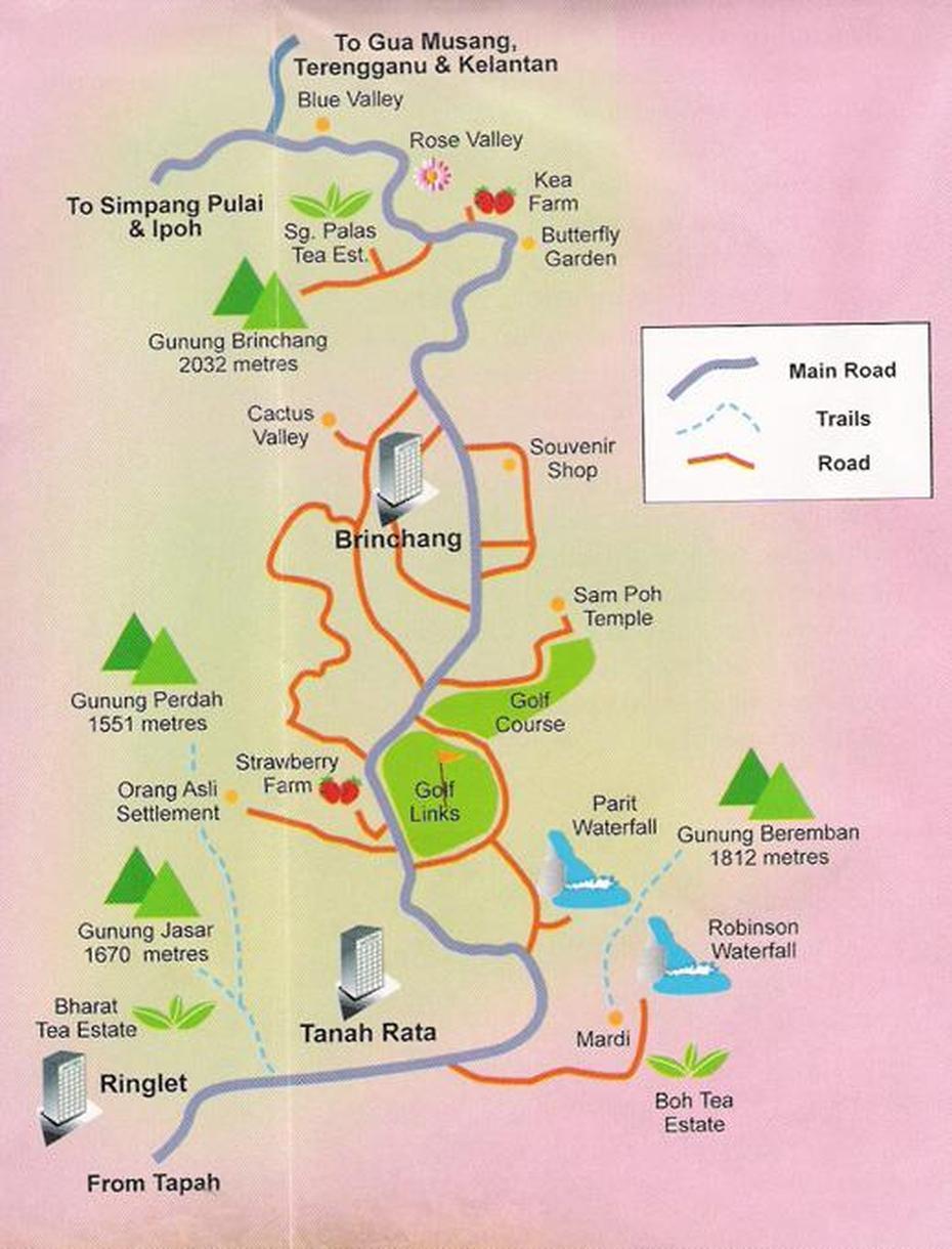 Cameron Highland: Gallery, Cameron Highlands, Malaysia, Cameron Highlands Tea, Cameron Highlands Tea Plantation