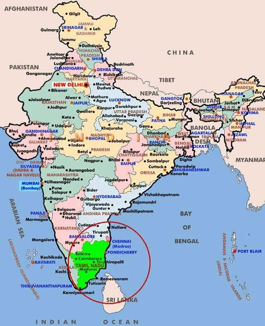 Tamil Nadu Maps Of India | Baltimore Map, Podili, India, Erythroxylum  Coca, Kanigiri India