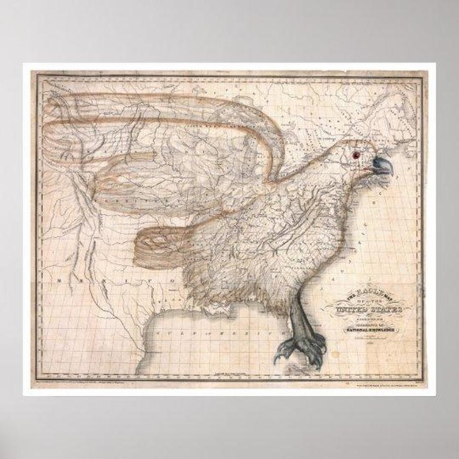 Eagle United States Map 1832 Poster | Zazzle, Eagle, United States, United States Army Eagle, 1856 Flying Eagle Cent