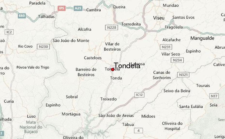 Nos Portugal, Tondela Fc, Location Guide, Tondela, Portugal