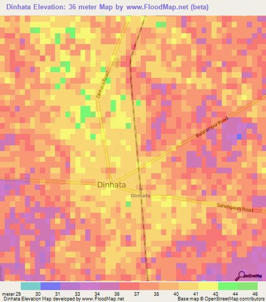 Roads In  Dinhata, Dinhata Haler  Math, Elevation , Dīnhāta, India