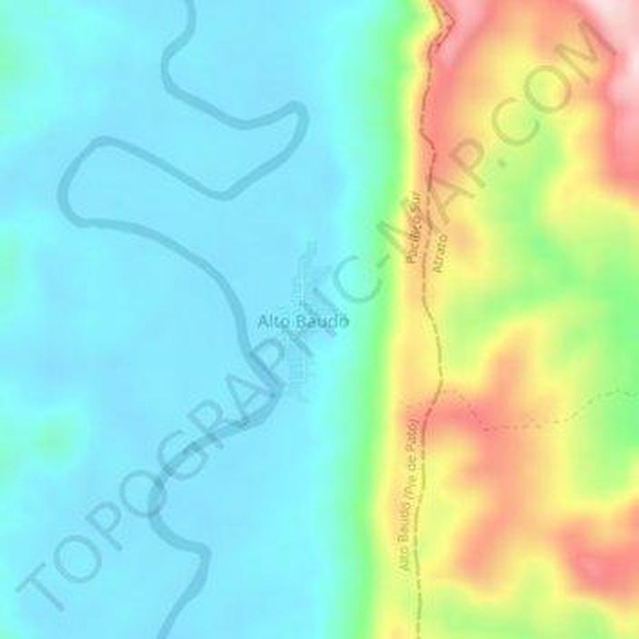 Pato  Real, Imagen De Pato, Elevation, Pie De Pató, Colombia