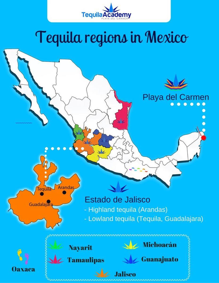 Mexican Tequila, Tequila Region, Land, Tequila, Mexico