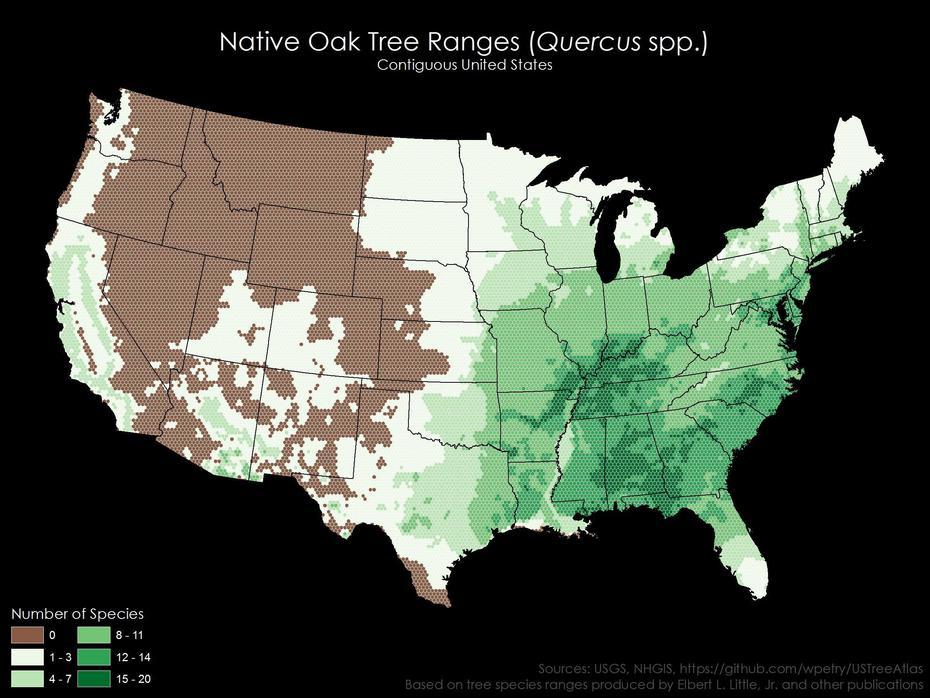 Native Oak Tree Ranges In The United States – Vivid Maps, Oak Forest, United States, Forest Biomass, United States Tree