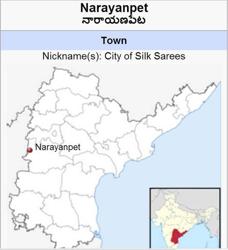 Narayanapeta Sarees | Andhra Cultural Portal, Narasannapeta, India, India  By State, Chennai India