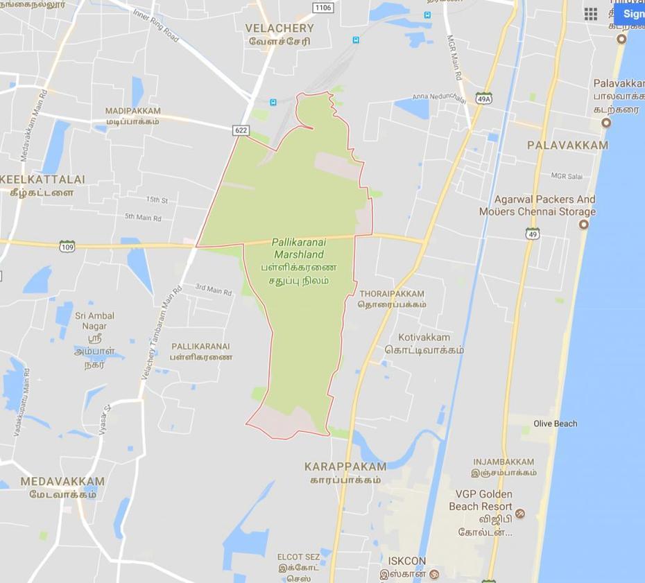 Flood Management In Chennai: The Story Of Pallikaranai Marsh, Pallijkarani, India, Marshland, South  Chennai