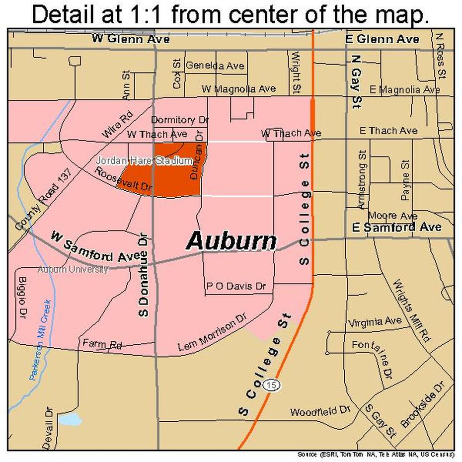 Auburn Alabama Street Map 0103076, Auburn, United States, Auburn, United States