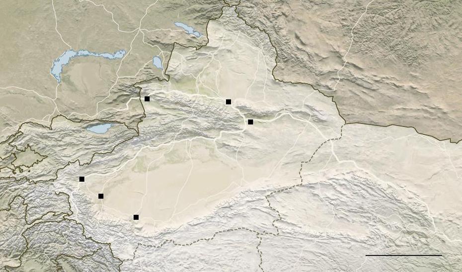 Xinjiang Seethes Under Chinese Crackdown – The New York Times, Ghulja, China, Ili China, Ili  Xinjiang