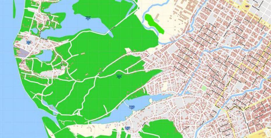 Asuncion Paraguay Pdf Map Vector Exact City Plan Detailed Street Map …, Asunción, Paraguay, Paraguay A, Paraguay River On