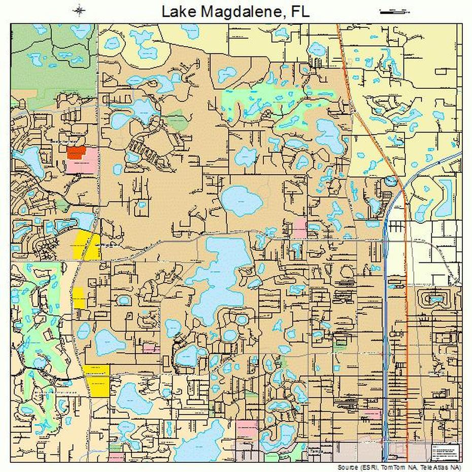 Lake Magdalene Florida Street Map 1238350, Lake Magdalene, United States, Us  With Lakes, All United States  With Rivers