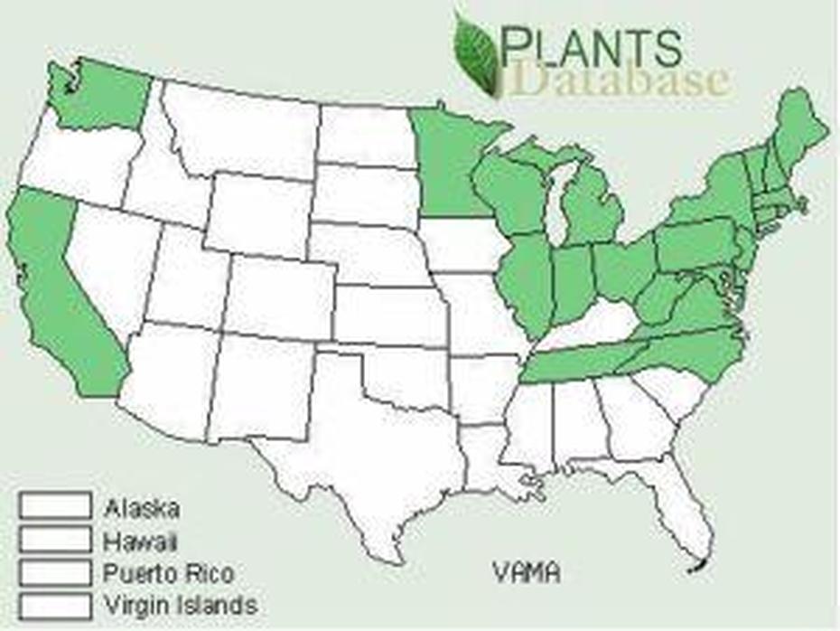 Detailed  United States, United States  Color, Americas Bouncing, Cranberry, United States