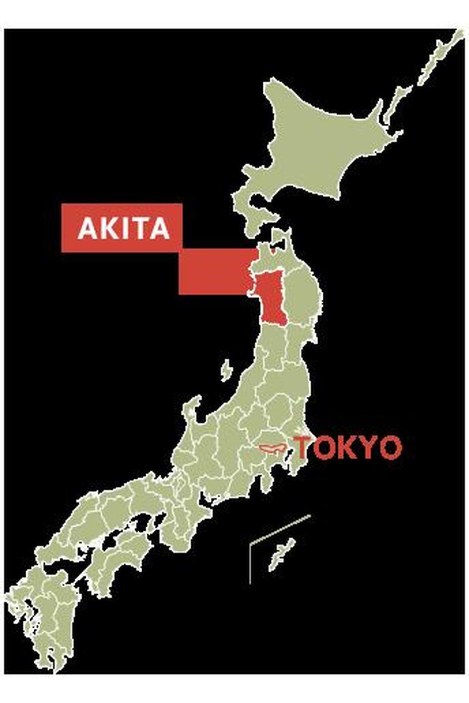 Adventures In Akita City  , Akitakata, Japan, Printable  Japan, Japan  Blank