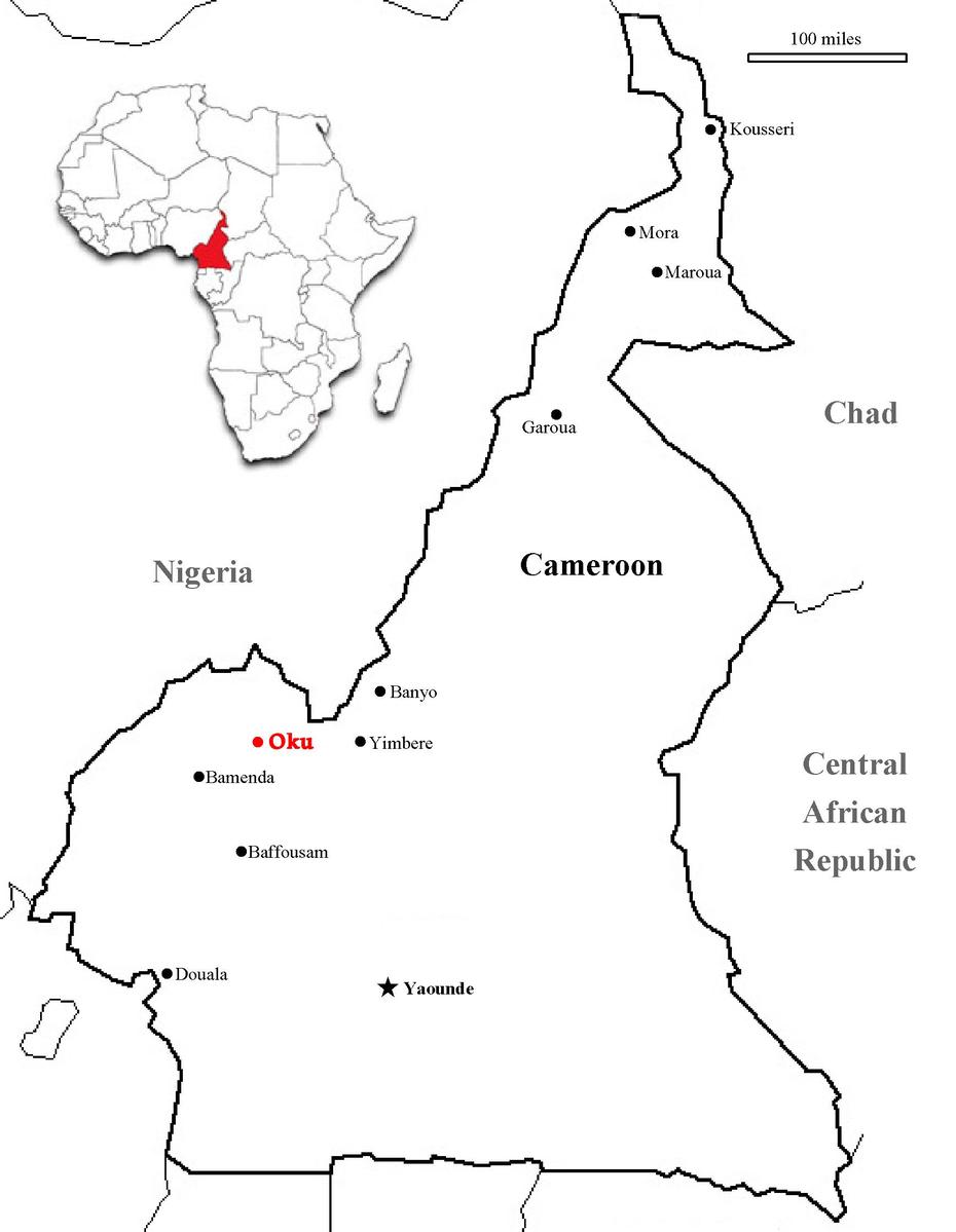 Contemplating Collaboration: Traditional Medicine, Biomedicine, And Co …, Monatélé, Cameroon, Mount Cameroon, Cameroon On Africa