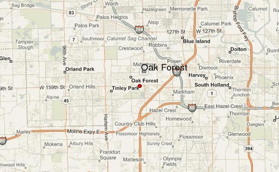 Oak Forest Location Guide, Oak Forest, United States, U.S. Forest, Old Growth Forest