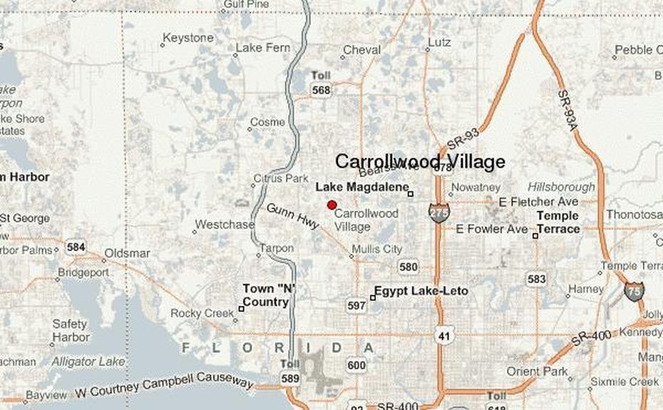 Basic United States, United States  For Kids, Carrollwood Village, Carrollwood, United States