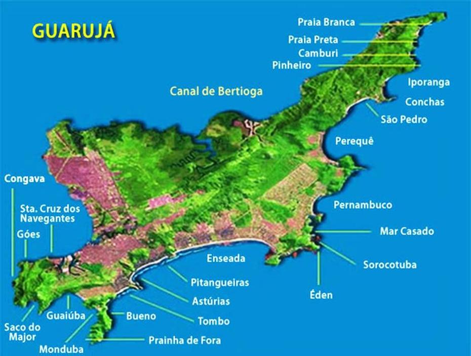 Mapas De Guaruja – Sp | Mapasblog, Pitangueiras, Brazil, Eugenia  Planta, Marmelo  Fruta