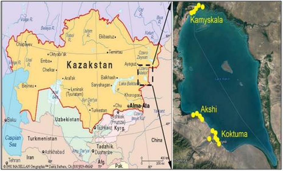 Algal Comparative Floristic Of The Alakol Lake Natural State Reserve …, Alga, Kazakhstan, Almaty Kazakhstan, Kazakhstan World