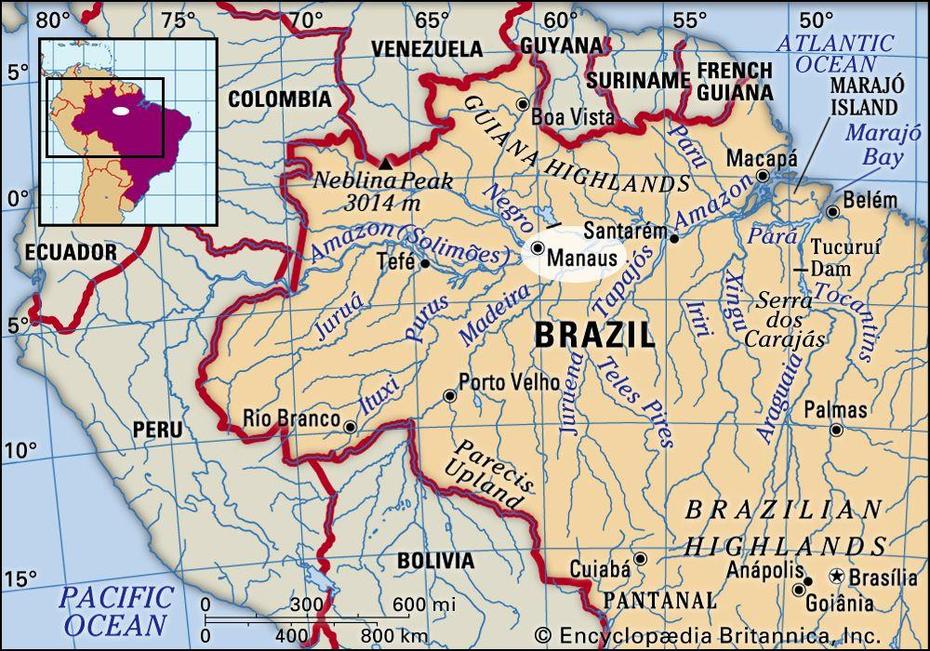 Manaus | History, Population, & Facts | Britannica, Manaus, Brazil, Rio Brazil, Curitiba Brazil