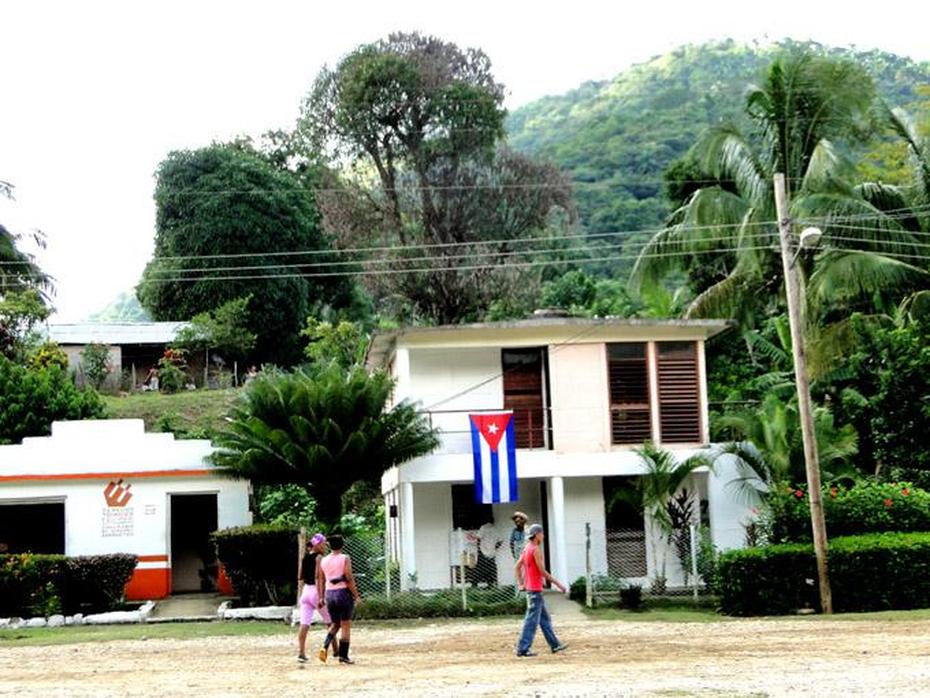 Buey Arriba A La Vanguardia En Plan Turquino, De Granma – La Demajagua, Buey Arriba, Cuba, Buey Almizclero, Buey Dibujo