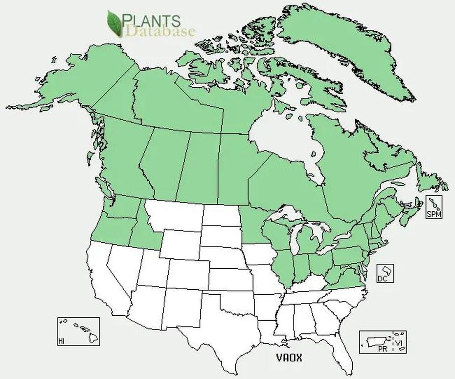 Cranberry – Growing Guide, Cranberry, United States, United States  Simple, Cool United States