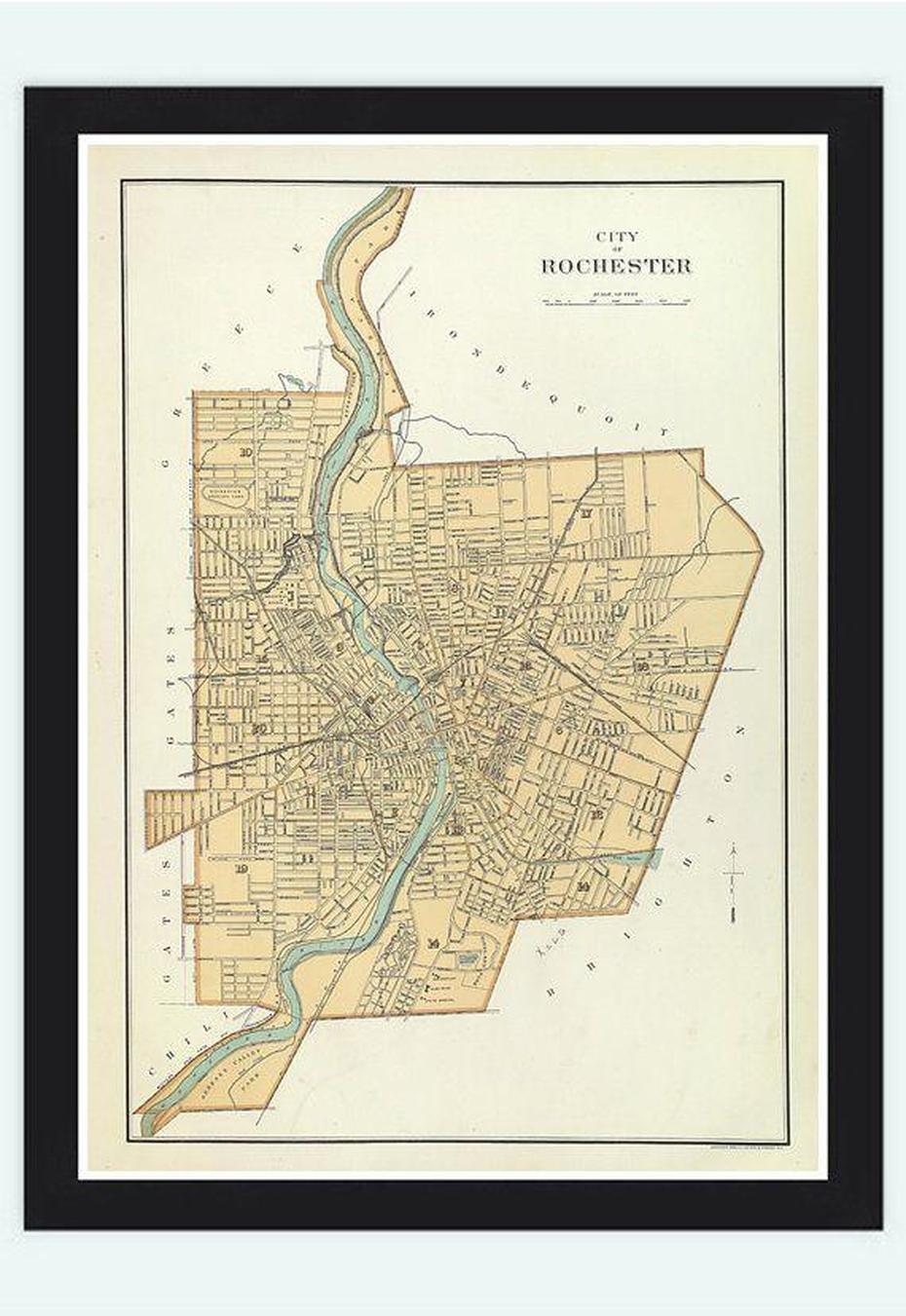 Old Map Of Rochester United States 1895 By Oldcityprints On Etsy, $29. …, Rochester, United States, 50 United States, United States America  Usa