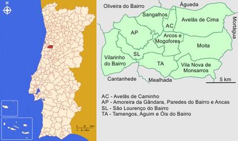 Anadia Mapa | Mapa, Anadia, Portugal, Cidade De  Lisboa, Mangualde Portugal