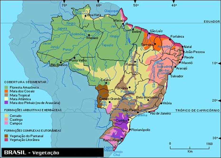 Apoio Em Geografia E Historia: Floresta Amazonica, Floresta, Brazil, Tijuca Forest Brazil Climate, Tijuca Forest Brazil Statue