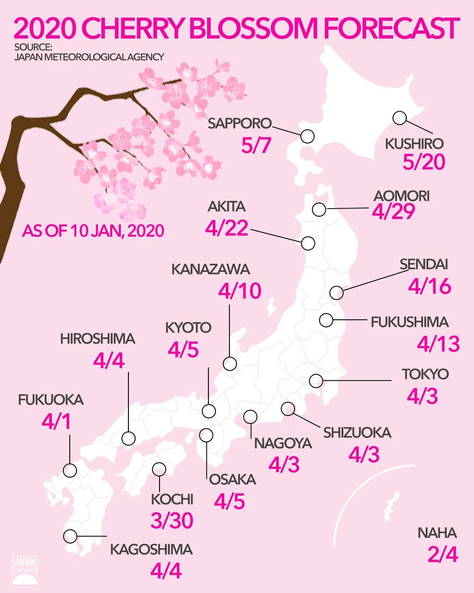 Japan-Sakura-Map-Jan-10 | Japan Forward, Sakuragawa, Japan, In Spectre Anime  Characters, Kintai Bridge Iwakuni Japan Cherry Blossom Festival